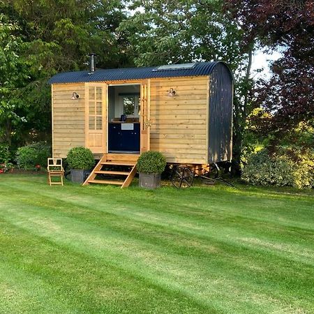 Bannfield Shepherds Hut Ballymoney Eksteriør bilde